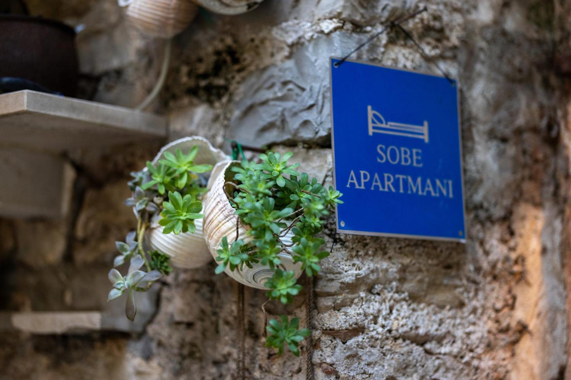 Apartments Bose マカルスカ エクステリア 写真